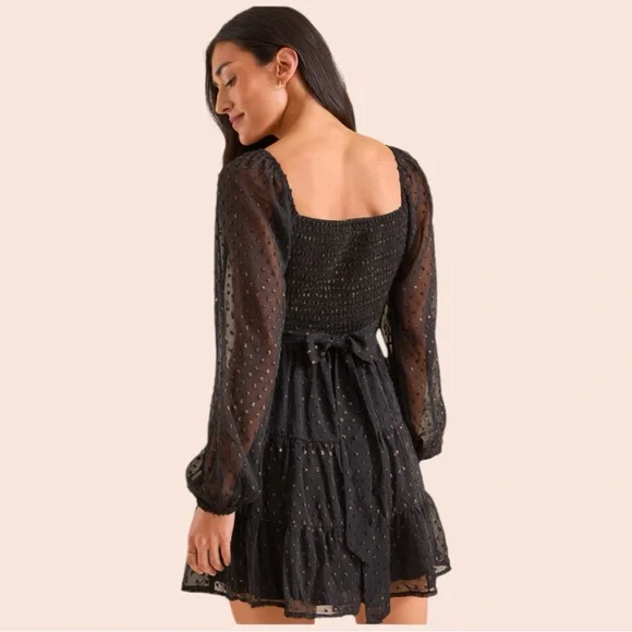 NWT Altar'd State Dekota Clip Dot Dress - Picture 6 of 7